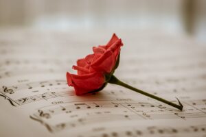 sheet music, red rose, red flower-6305620.jpg